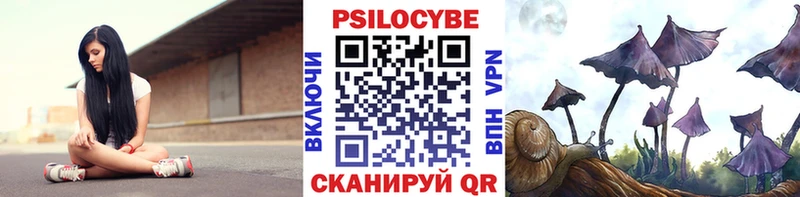 Псилоцибиновые грибы ЛСД  Купить где  Белореченск 